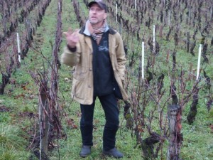 Wine tastings with pascal wagner, burgundy