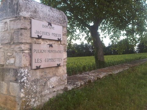 Wine tastings with pascal wagner, burgundy